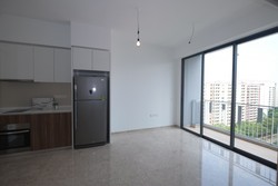 The Luxurie (D19), Condominium #205955661